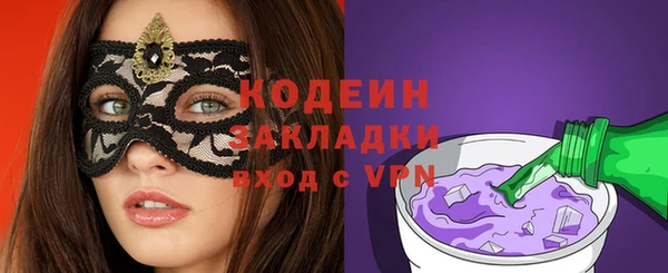 ешки Корсаков