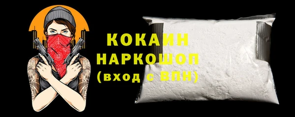 гидра Коряжма