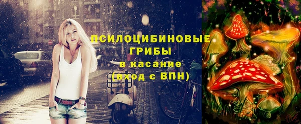 прущий лед Костерёво
