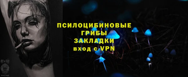прущий лед Костерёво