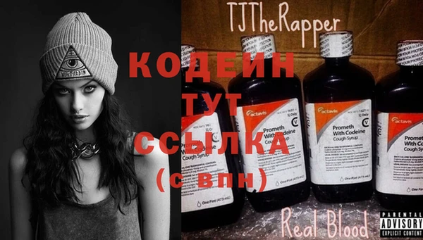 прущий лед Костерёво