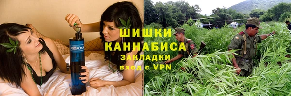 ешки Корсаков