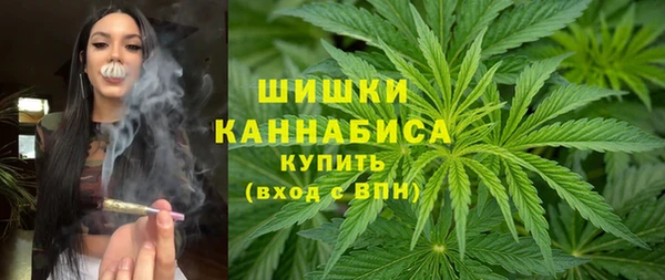 гидра Коряжма