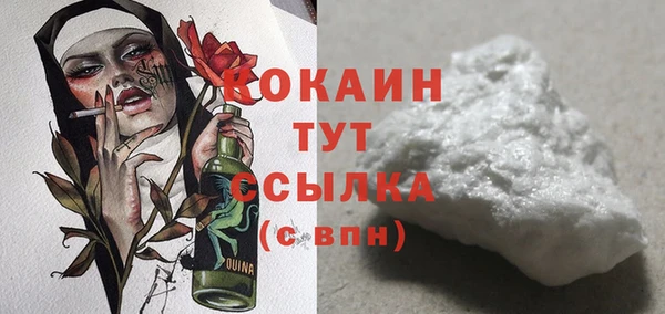 гидра Коряжма