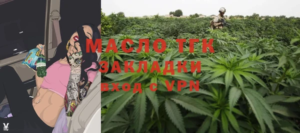 гидра Коряжма