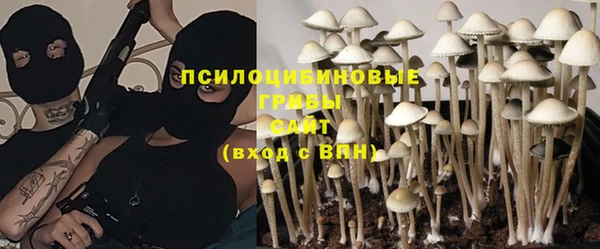 ешки Корсаков