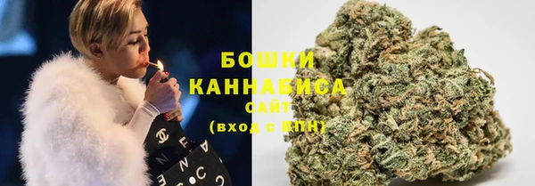 ешки Корсаков