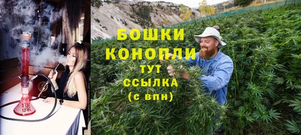 ешки Корсаков