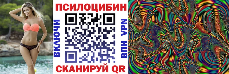 Купить закладки  Верхняя Пышма  Галлюциногенные грибы MAGIC MUSHROOMS 